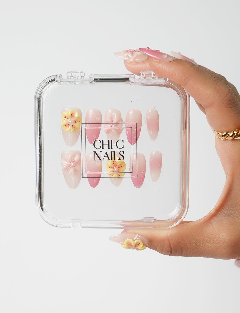 3D Seashell 2140