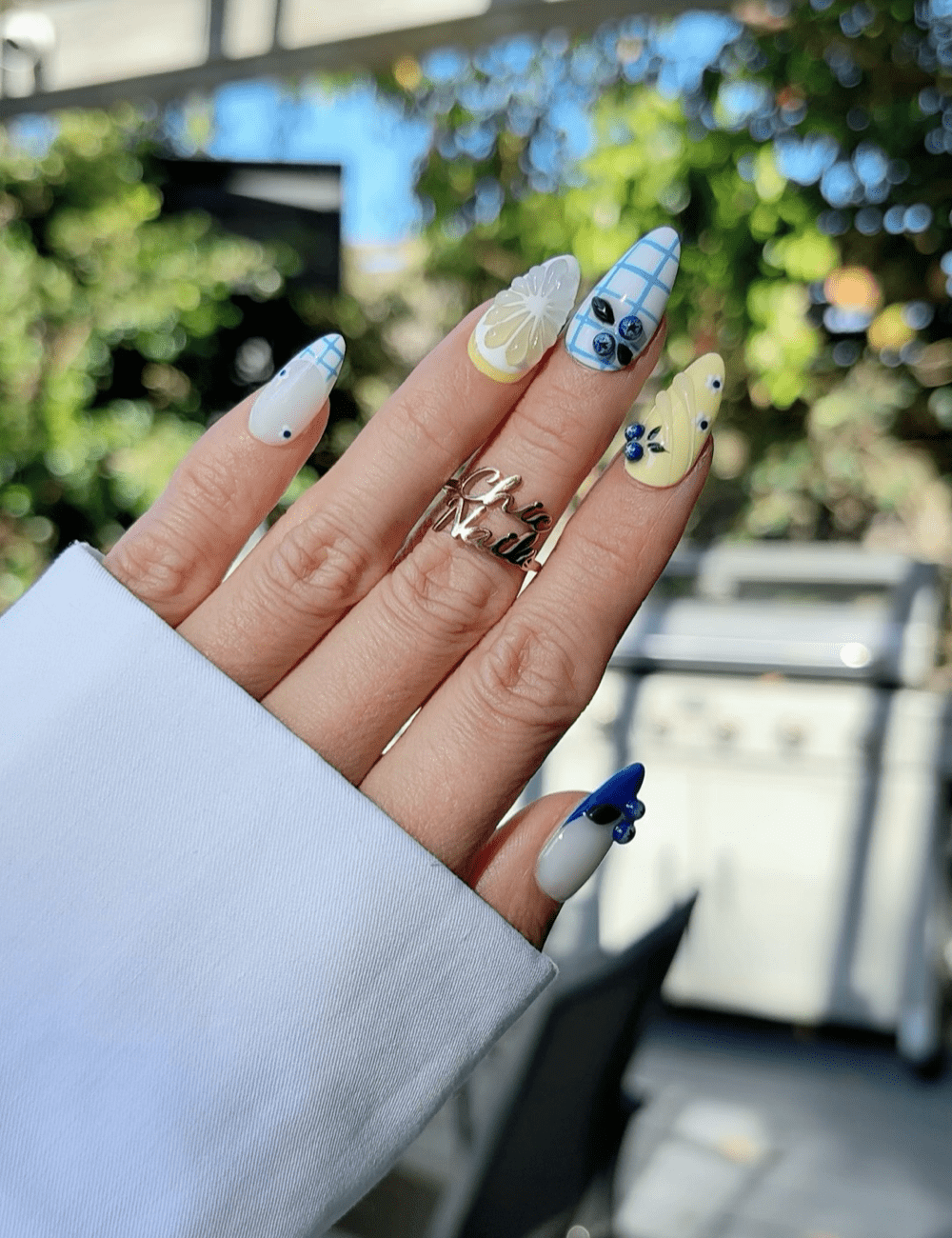 Blueberry Lemon Press-On Nails Set – 3D Fruit & Plaid Summer Design