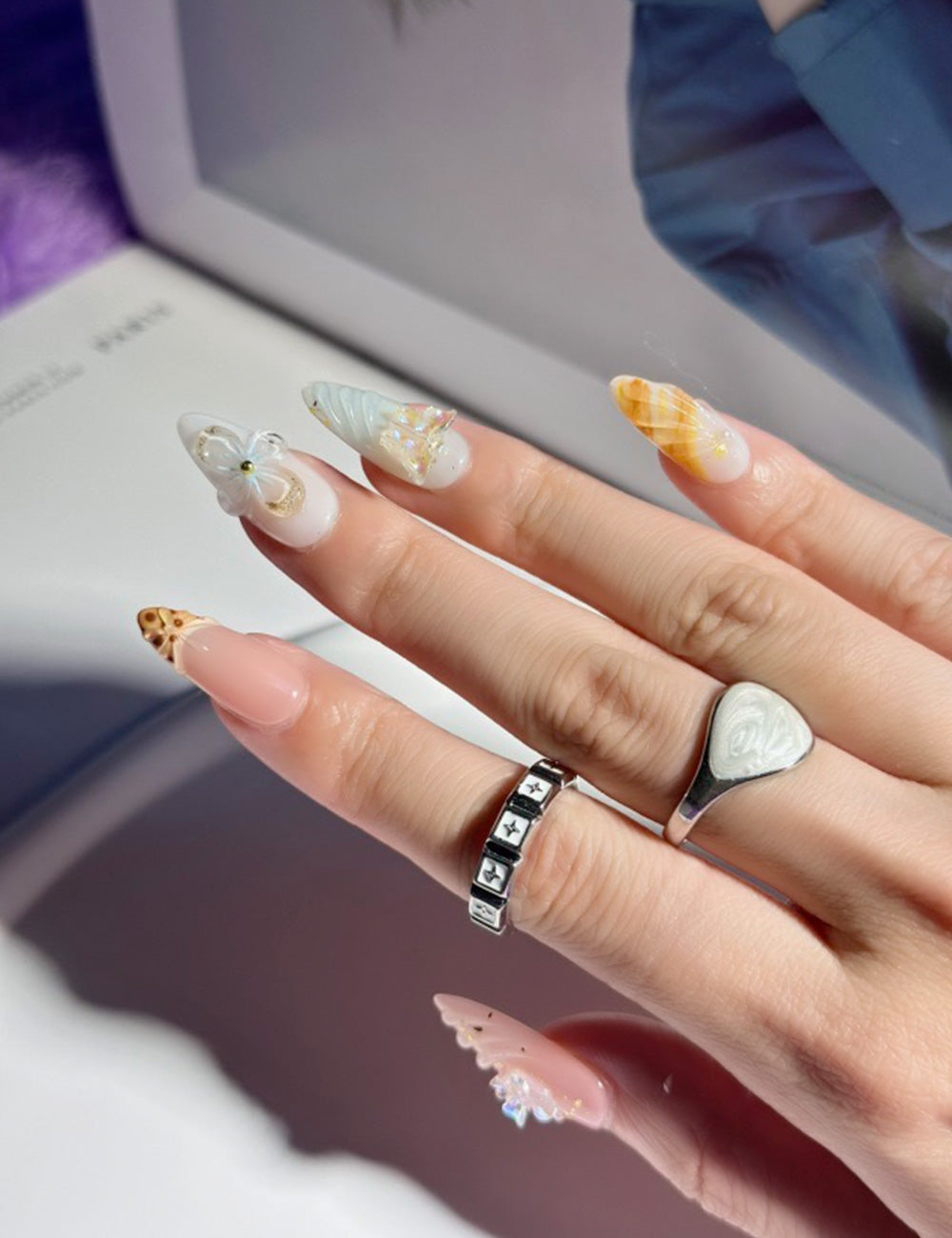 3D Seashell#2030