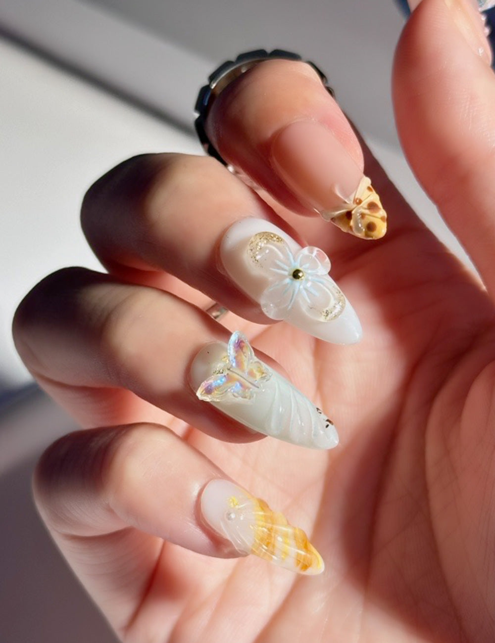 3D Seashell#2030