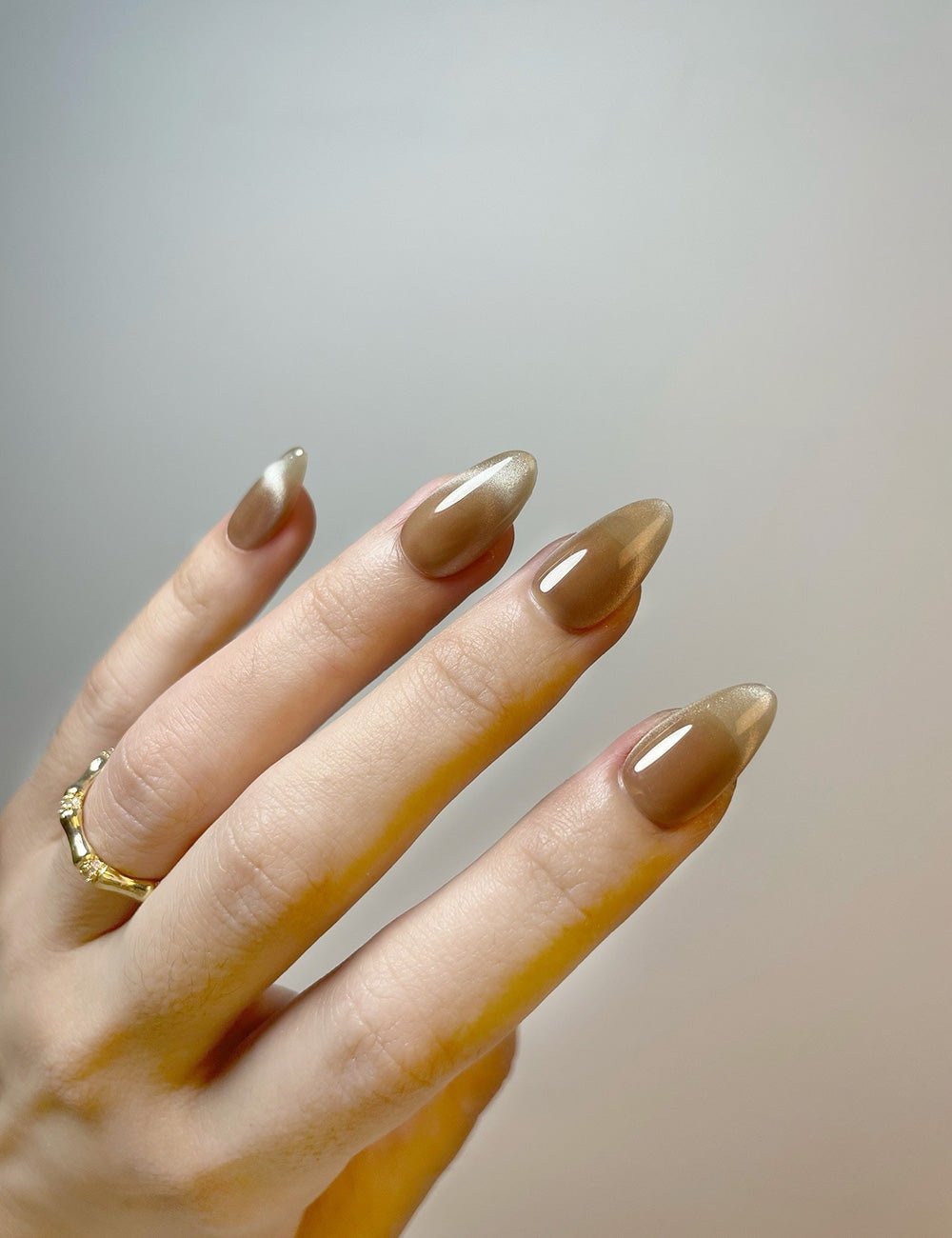 Golden Cocoa Glow