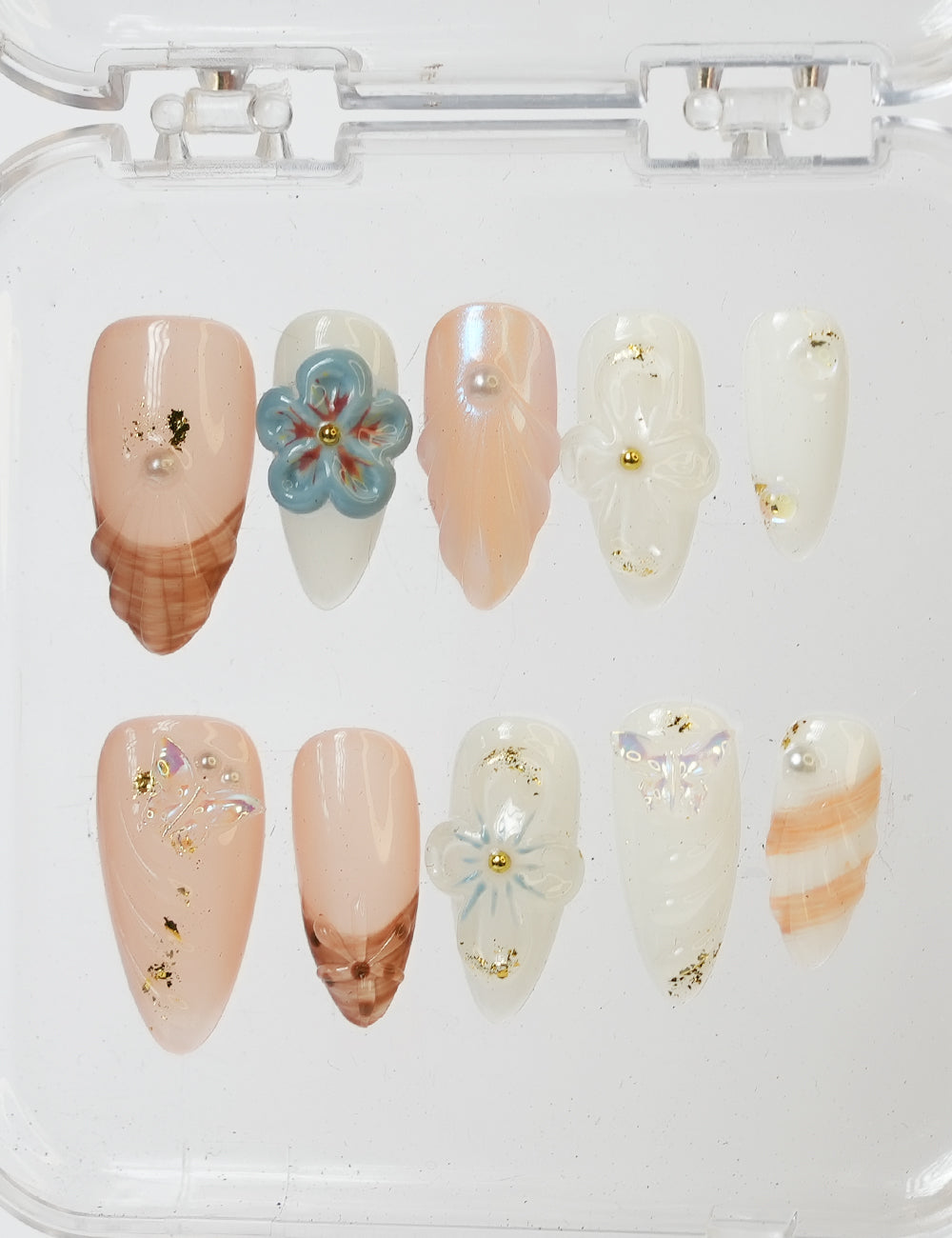3D Seashell#2030