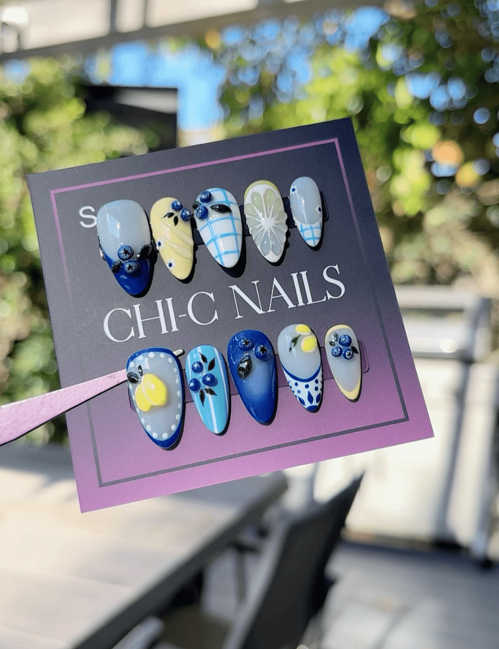 Blueberry Lemon Press-On Nails Set – 3D Fruit & Plaid Summer Design